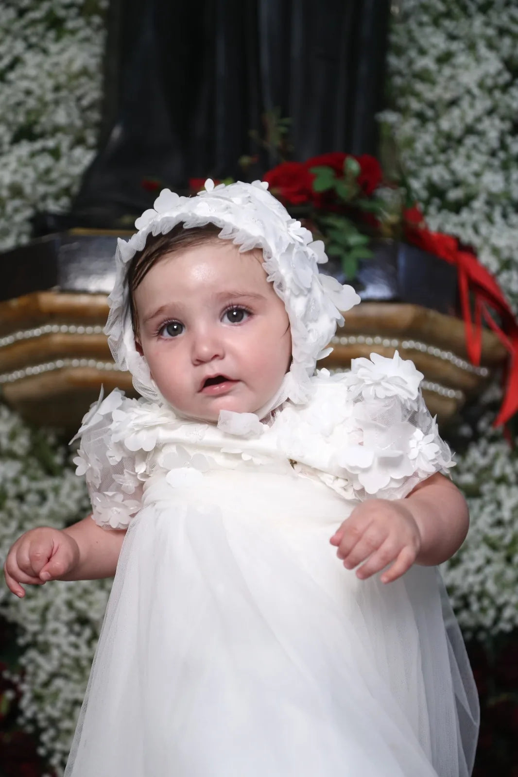 Rebecca Christening Gown With Bonnet - 1102 LF